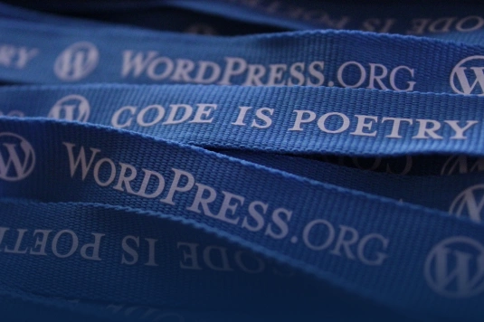 is wordpress moeilijk