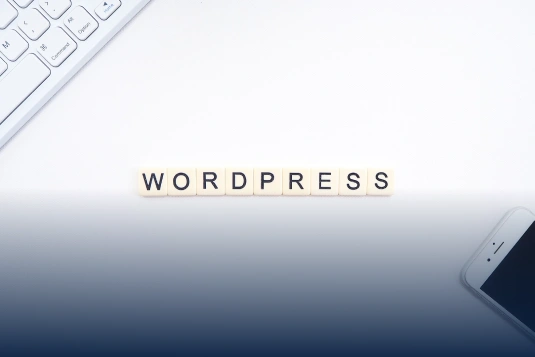 verander header in wordpress