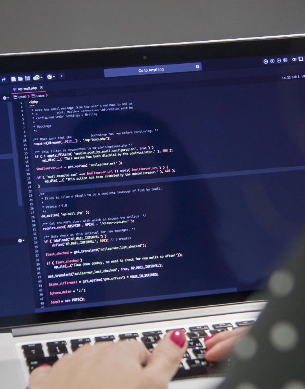 voor en nadelen wordpress