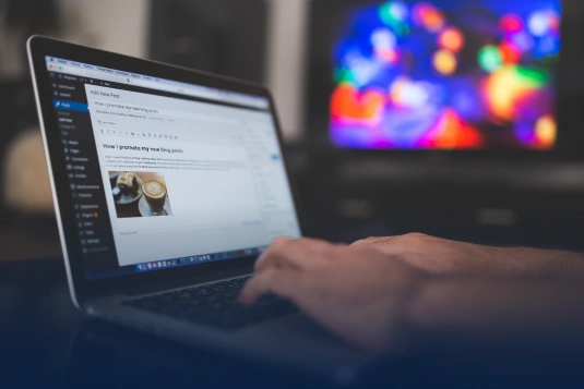 wat is wordpress