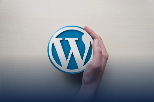 welk cms kiezen